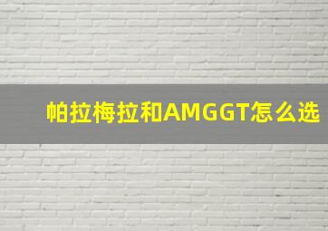 帕拉梅拉和AMGGT怎么选