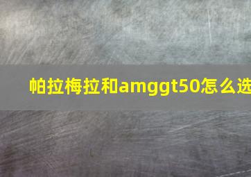 帕拉梅拉和amggt50怎么选