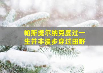 帕斯捷尔纳克度过一生并非漫步穿过田野