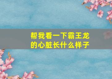 帮我看一下霸王龙的心脏长什么样子