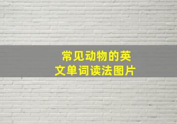 常见动物的英文单词读法图片