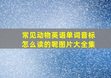 常见动物英语单词音标怎么读的呢图片大全集