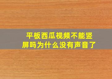 平板西瓜视频不能竖屏吗为什么没有声音了