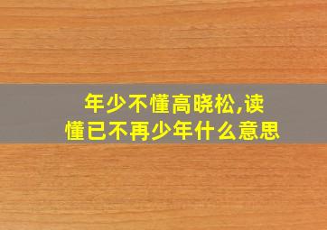 年少不懂高晓松,读懂已不再少年什么意思