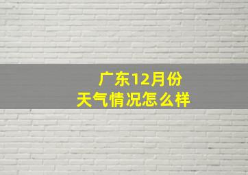 广东12月份天气情况怎么样