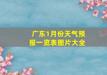 广东1月份天气预报一览表图片大全