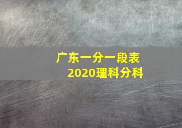 广东一分一段表2020理科分科