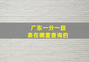 广东一分一段表在哪里查询的