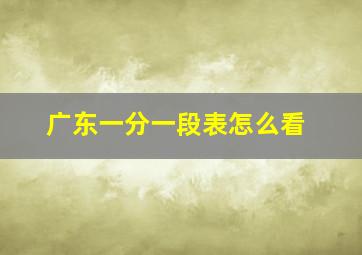 广东一分一段表怎么看