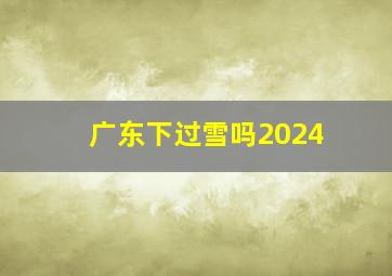 广东下过雪吗2024