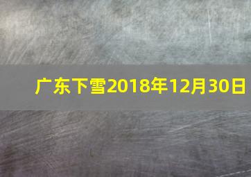 广东下雪2018年12月30日