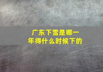 广东下雪是哪一年得什么时候下的