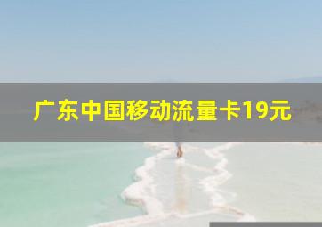 广东中国移动流量卡19元