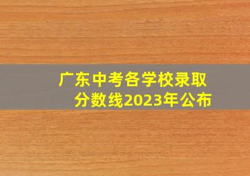 广东中考各学校录取分数线2023年公布