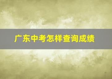 广东中考怎样查询成绩