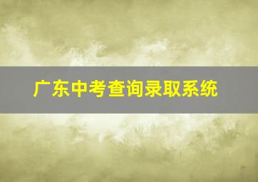 广东中考查询录取系统