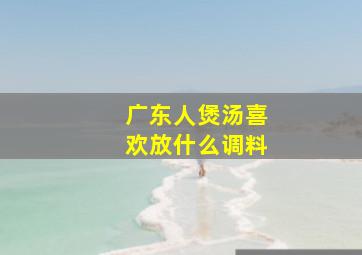 广东人煲汤喜欢放什么调料