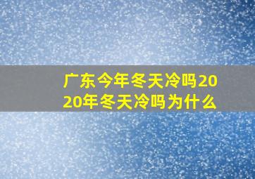 广东今年冬天冷吗2020年冬天冷吗为什么