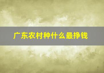 广东农村种什么最挣钱