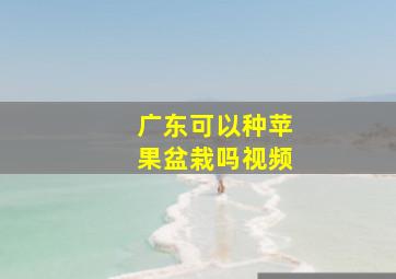 广东可以种苹果盆栽吗视频