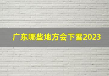 广东哪些地方会下雪2023