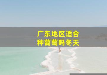 广东地区适合种葡萄吗冬天