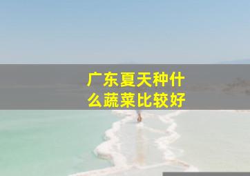 广东夏天种什么蔬菜比较好