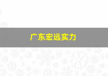 广东宏远实力