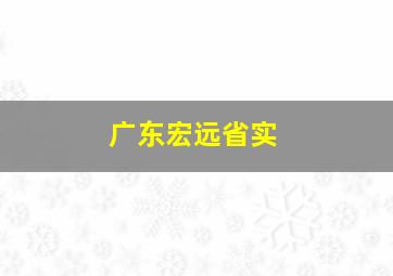 广东宏远省实