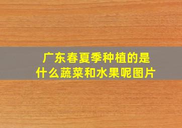 广东春夏季种植的是什么蔬菜和水果呢图片