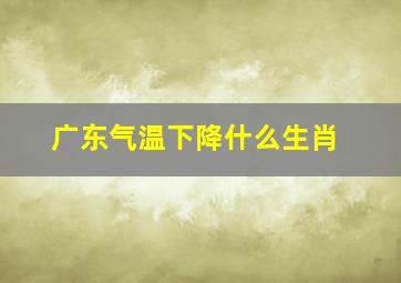 广东气温下降什么生肖