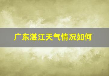 广东湛江天气情况如何