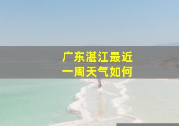 广东湛江最近一周天气如何