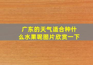 广东的天气适合种什么水果呢图片欣赏一下