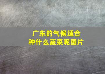 广东的气候适合种什么蔬菜呢图片