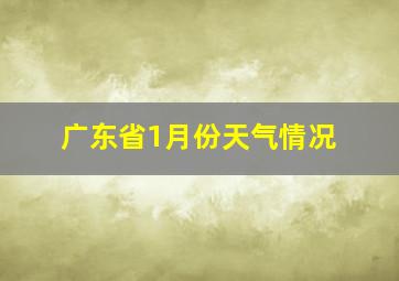 广东省1月份天气情况