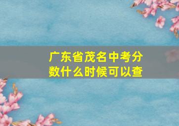 广东省茂名中考分数什么时候可以查