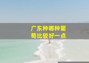 广东种哪种葡萄比较好一点