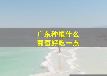 广东种植什么葡萄好吃一点