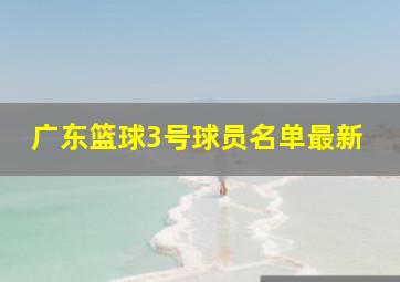 广东篮球3号球员名单最新