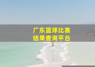 广东篮球比赛结果查询平台