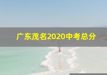 广东茂名2020中考总分