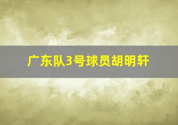 广东队3号球员胡明轩