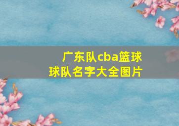 广东队cba篮球球队名字大全图片