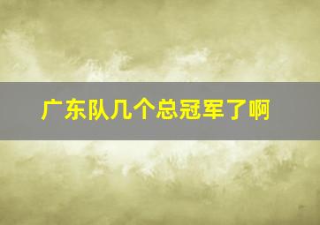 广东队几个总冠军了啊