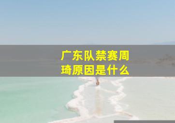 广东队禁赛周琦原因是什么