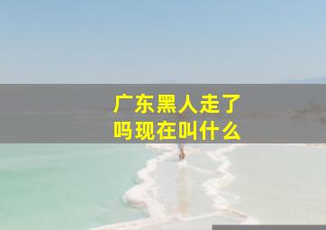 广东黑人走了吗现在叫什么