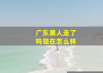 广东黑人走了吗现在怎么样