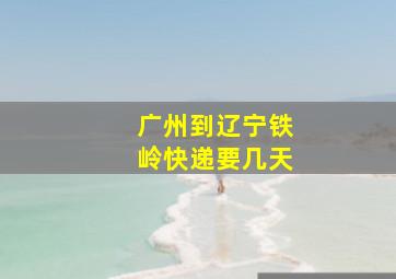 广州到辽宁铁岭快递要几天