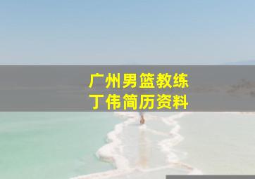 广州男篮教练丁伟简历资料